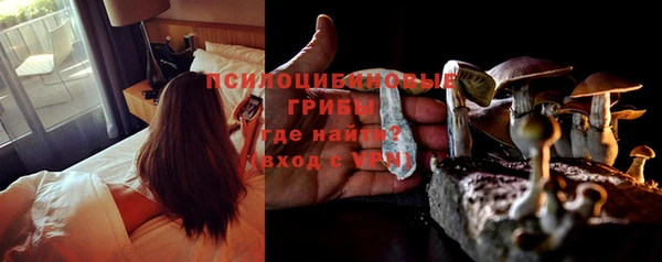 сатива Абинск