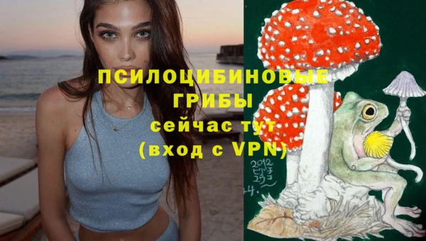 2c-b Абаза