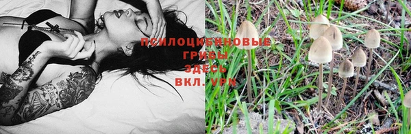 сатива Абинск