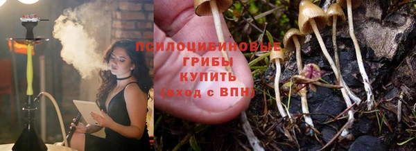 сатива Абинск