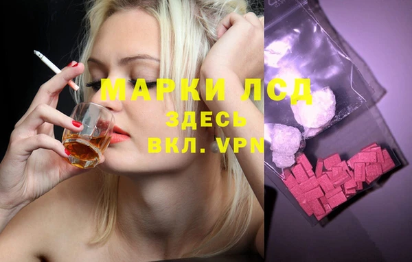 сатива Абинск