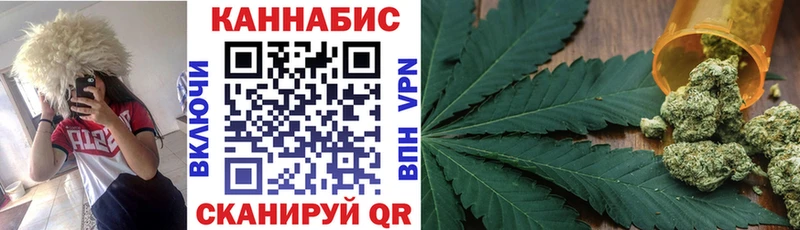 Канабис сатива  Приволжск 